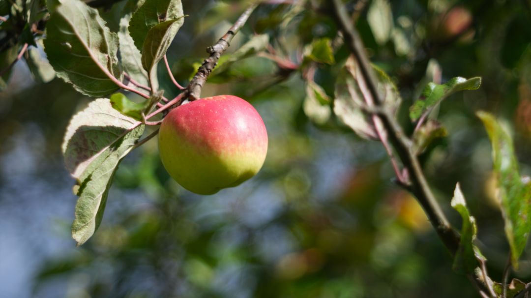 &copy; J&uuml;rgen A. Schmidt